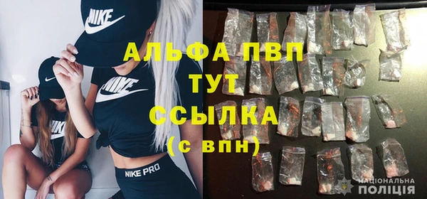 прущие грибы Няндома